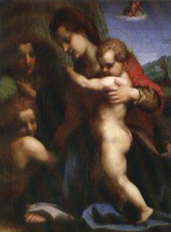 Andrea del Sarto Our Lady of sub china oil painting image